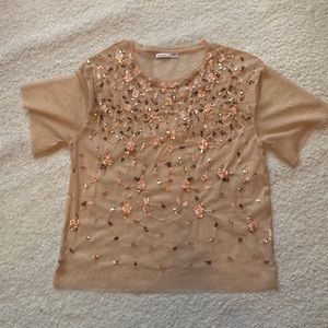 Zara sheer embroidered top